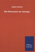 Gideon Mantell - Die Phänomene der Geologie