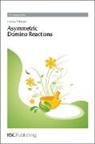 Haelaene Pellissier, Helene Pellissier, Hélène Pellissier, Helene (CNRS Pellissier, Chris Hardacre, Zinfer Ismagilov... - Asymmetric Domino Reactions