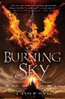 Sherry Thomas - The Burning Sky