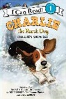 Ree Drummond, Ree/ De Groat Drummond, Drummond Ree, Diane de Groat, Diane deGroat - Charlie the Ranch Dog: Charlie's Snow Day