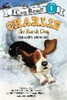 Ree Drummond, Ree/ De Groat Drummond, Drummond Ree, Diane de Groat, Diane deGroat - Charlie the Ranch Dog: Charlie's Snow Day