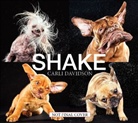 Carli Davidson - Shake
