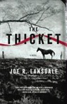 Joe R. Lansdale - The Thicket