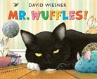 David Wiesner, David Wiesner - Mr. Wuffles!