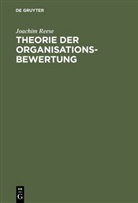 Joachim Reese - Theorie der Organisationsbewertung