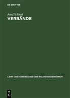 Josef Schmid - Verbände