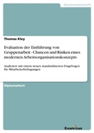 Thomas Kley - Evaluation der Einführung von Gruppenarbeit - Chancen und Risiken eines modernen Arbeitsorganisationskonzepts