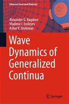 Alexander Bagdoev, Alexander G Bagdoev, Alexander G. Bagdoev, Vladimir Erofeyev, Vladimir I Erofeyev, Vladimir I. Erofeyev... - Wave Dynamics of Generalized Continua