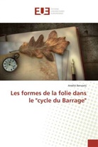 Amélie Bervoets, Bervoets-a - Les formes de la folie dans le