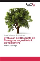 María de las Mercedes Girón Vanderhuck - Evolución del Bosquete de Elaeagnus angustifolia L. en Valdemoro