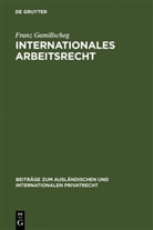 Franz Gamillscheg - Internationales Arbeitsrecht