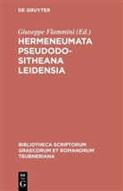 Giusepp Flammini, Giuseppe Flammini - Hermeneumata Pseudodositheana Leidensia