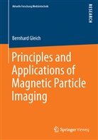Bernhard Gleich - Principles and Applications of Magnetic Particle Imaging