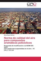 Silvia Reyes Salinas - Norma de calidad del aire para compuestos aromáticos policíclicos