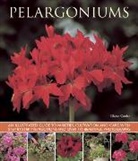 Blaise Cooke, Cooke Blaise, Marie O'Hara - Pelargoniums