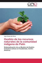 Juan Carlos Sis Pérez - Gestión de los recursos naturales de la comunidad indígena de Palín