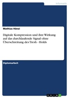 Mathias Hänzi - Digitale Kompression und ihre Wirkung auf das durchlaufende Signal ohne Überschreitung des Tresh - Holds