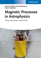 Raine Hollerbach, Rainer Hollerbach, L Kitchatinov, Leonid L. Kitchatinov, Günthe Rüdiger, Günther Rüdiger - Magnetic Processes in Astrophysics