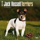 Browntrout Publishers (COR) - Jack Russell Terriers 2014 Calendar