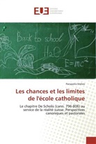 Panayotis Stelios, Stelios-P - Les chances et les limites de l