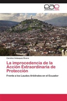 Carolina Velásquez Rivera - La improcedencia de la Acción Extraordinaria de Protección