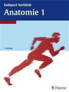 Anatomie
