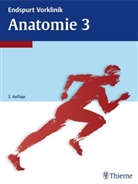 Anatomie. Tl.3