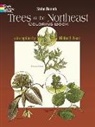 Stefen Bernath - Trees of the Northeast Coloring Book