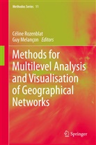 Guy Melaçon, Melancon, Melancon, Guy Melancon, Célin Rozenblat, Céline Rozenblat - Methods for Multilevel Analysis and Visualisation of Geographical Networks