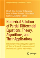 Svetoza D Margenov, Svetozar D Margenov, Peter D Minev et al, Oleg P. Iliev, Svetozar D. Margenov, Peter D Minev... - Numerical Solution of Partial Differential Equations: Theory, Algorithms, and Their Applications