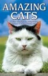 Omar Mouallem, Omar Mouallem - Amazing Cats