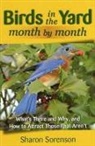 Sharon Sorenson - Birds in the Yard Month by Month