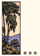 Bruce Smith, Yoshiko Yamamoto - Eucalyptus Hill (Boxed): Boxed Set of 6 Cards