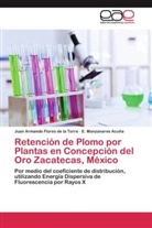 E Manzanar Acuña, E. Manzanares Acuña, Juan Armand Flores de la Torre, Juan Armando Flores de la Torre - Retención de Plomo por Plantas en Concepción del Oro Zacatecas, México