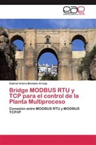 Gabriel Arturo Montaño Arrioja - Bridge MODBUS RTU y TCP para el control de la Planta Multiproceso