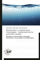 Aich Gasmi, Aicha Gasmi, Ahmed Hannachi, Mar Heran, Marc Heran - Bioreacteur a membranes