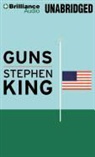 Stephen King, Christian Rummel - Guns (Audiolibro)