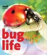 Lynette Evans, Lynette/ D&apos Evans, Lynette/ D'Ottavi Evans, Francesca (ILT) Ottavi, Francesca D'Ottavi - Bug Life