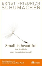 Ernst F Schumacher, Ernst Friedrich Schumacher, Ernst Friedrich Schumacher - Small is beautiful