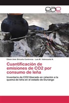 Edwin Ami Briceño Contreras, Edwin Amir Briceño Contreras, Luis M Valenzuela N, Luis M. Valenzuela N. - Cuantificación de emisiones de CO2 por consumo de leña