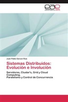 Juan Pablo Garzon Ruiz - Sistemas Distribuidos: Evolución e Involución