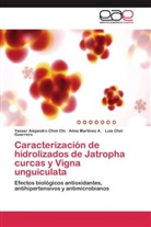 Chel G, Luis Chel Guerrero, Yasser Alejandr Chim Chi, Yasser Alejandro Chim Chi, Alm Martínez A, Alma Martínez A... - Caracterización de hidrolizados de Jatropha curcas y Vigna unguiculata