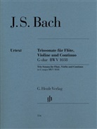 Johann Sebastian Bach, Peter Wollny - Johann Sebastian Bach - Triosonate G-dur BWV 1038 für Flöte, Violine und Continuo