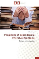Bellarmin Iloki, Iloki-b - Imaginaire et depit dans la