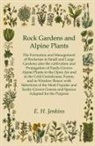 E. H. Jenkins - Rock Gardens and Alpine Plants