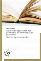 Nawel Haddadou, Haddadou-n - Resolution approchee des
