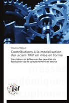 Sébastien Thibaud, Thibaud-s - Contributions a la modelisation