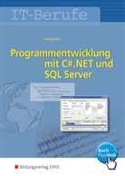 Georg Hasenöhrl, Georg Hasenörl - IT-Berufe