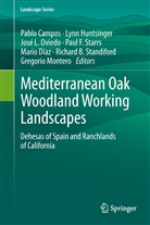 Pablo Campos, Mario Diaz, Mario Díaz, Lyn Huntsinger, Lynn Huntsinger, Jose Luis Oviedo et al... - Mediterranean Oak Woodland Working Landscapes
