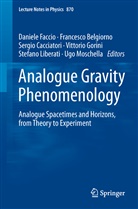 Francesc Belgiorno, Francesco Belgiorno, Sergio Cacciatori, Sergio Cacciatori et al, Daniele Faccio, Vittorio Gorini... - Analogue Gravity Phenomenology